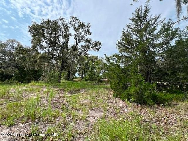 15750 Larry Road, Spring Hill(pasco), FL 34610