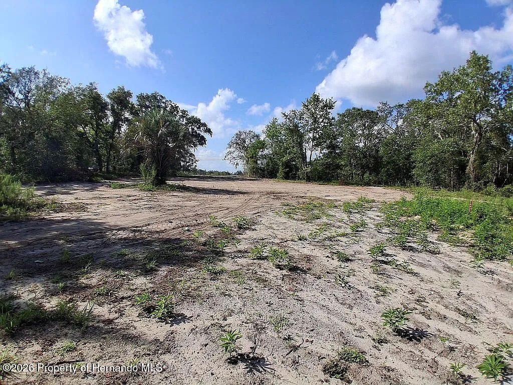 15750 Larry Road, Spring Hill(pasco), FL 34610