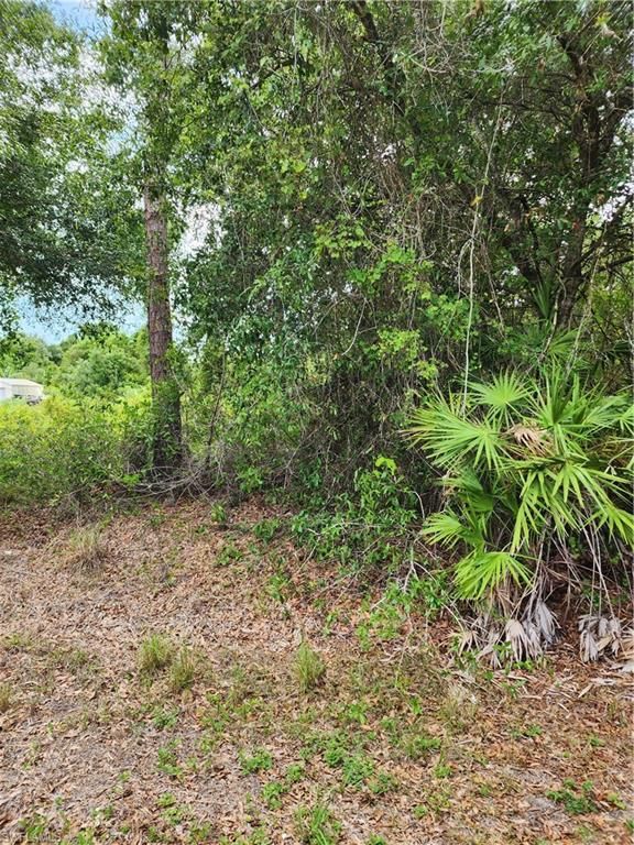 1114 MCKINLEY AVE, LEHIGH ACRES, FL 33972 — exterior