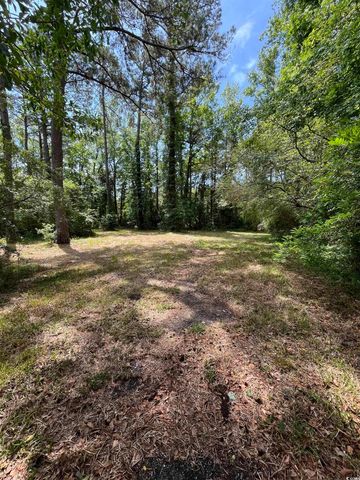 TBD Highway 90, Longs, SC 29568