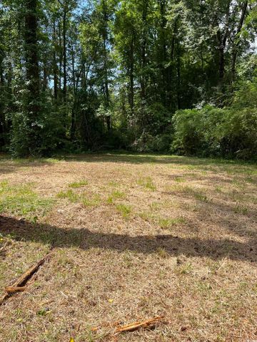 TBD Highway 90, Longs, SC 29568