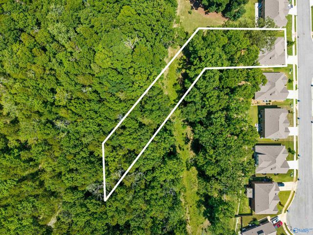 2124 Big Leaf Drive, Huntsville, AL 35803