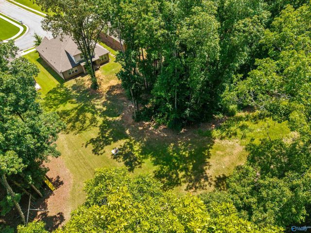 2124 Big Leaf Drive, Huntsville, AL 35803