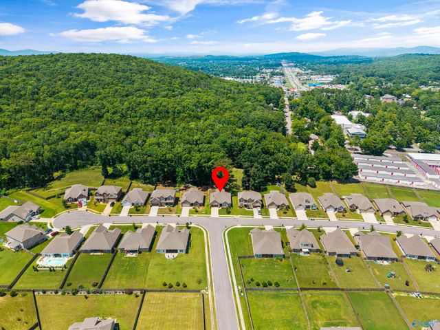 2124 Big Leaf Drive, Huntsville, AL 35803