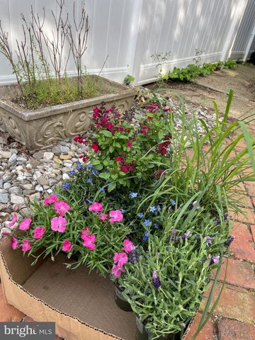 1711 N BROOM ST, Wilmington, DE 19806