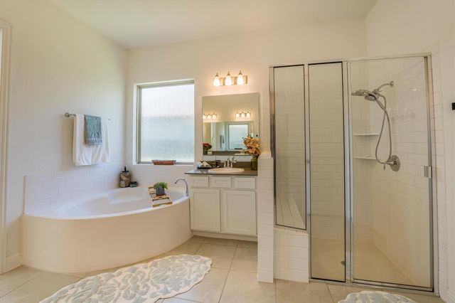 18815 Tindarey Birch Lane, New Caney, TX 77357