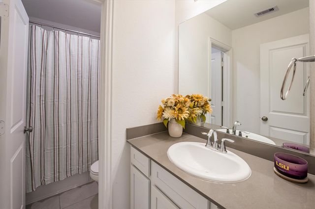 18815 Tindarey Birch Lane, New Caney, TX 77357