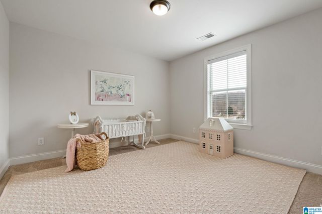 10 MACDONALD COVE, Springville, AL 35146