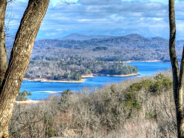 427 Green Ridge Road, Blue Ridge, GA 30513