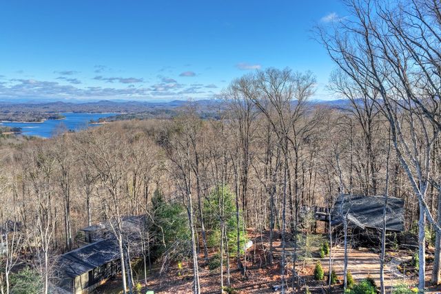 427 Green Ridge Road, Blue Ridge, GA 30513