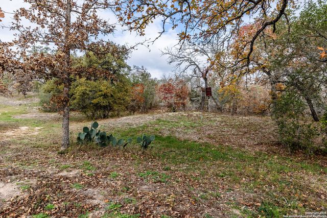 133 Country Oak Dr, La Vernia, TX 78121