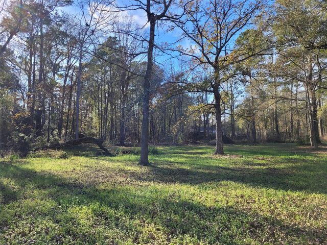 15540 Firetower Road, Conroe, TX 77306