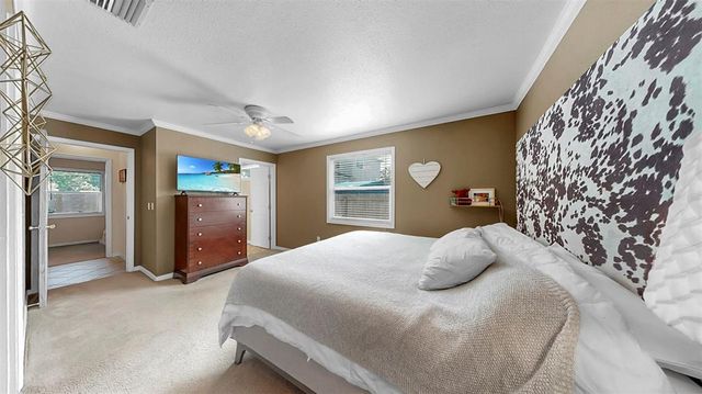 313 CONGRESS STREET, Oldsmar, FL 34677