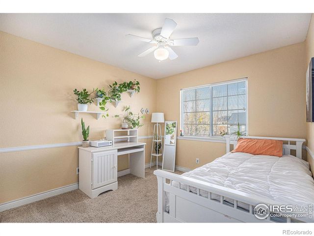 5872 Merganser Court, Longmont, CO 80504