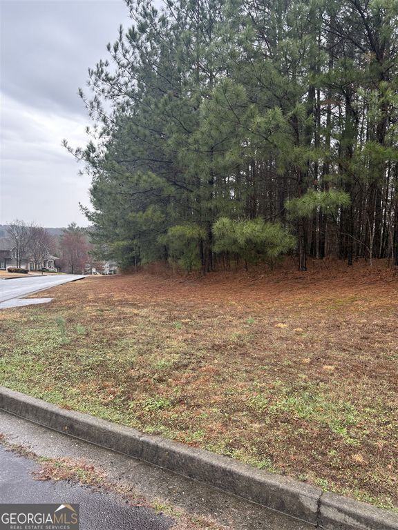 1205 Alcovy Ridge Drive, Loganville, GA 30052