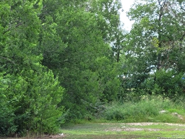 256 W Villaret, San Antonio, TX 78221
