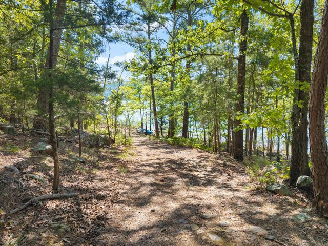 554 Emerald Cove, Shirley, AR 72153