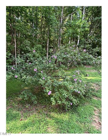 153 Smiths Creek Drive, Clayton, NC 27520