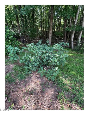 153 Smiths Creek Drive, Clayton, NC 27520