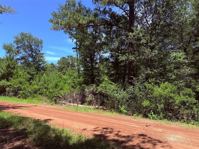 26605 Lake Shore Drive, Hempstead, TX 77445
