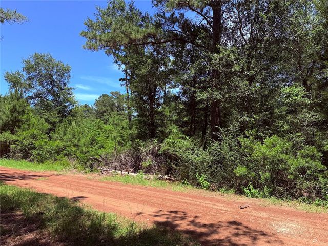 26605 Lake Shore Drive, Hempstead, TX 77445