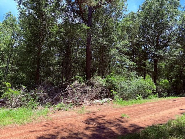 26605 Lake Shore Drive, Hempstead, TX 77445