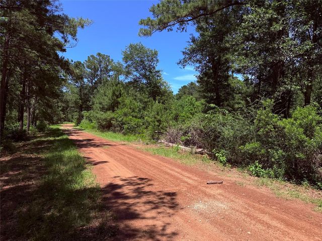 26605 Lake Shore Drive, Hempstead, TX 77445