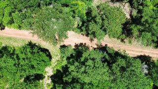 26605 Lake Shore Drive, Hempstead, TX 77445