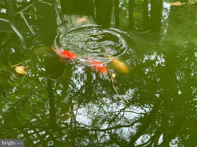 32848 ELIZABETH DR, Millsboro, DE 19966