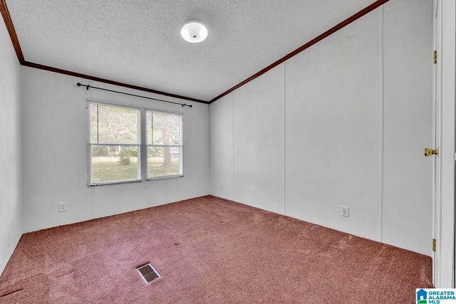 5057 JIM GOGGANS ROAD, Dora, AL 35062