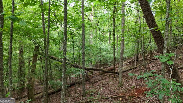 LOT 16 Morris Trail, Cleveland, GA 30528