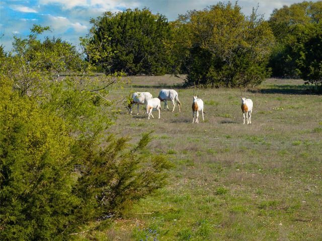 5525 FM2340 RD, Burnet, TX 78611