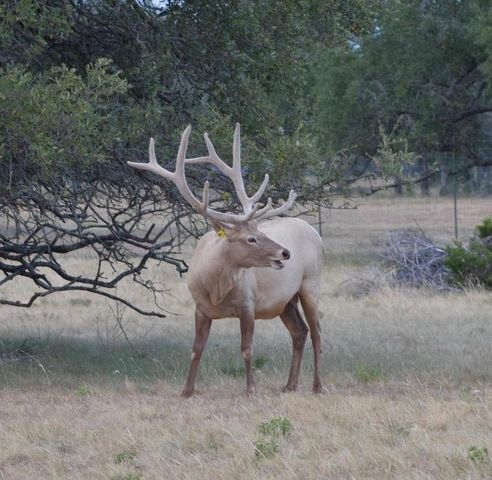 5525 FM2340 RD, Burnet, TX 78611