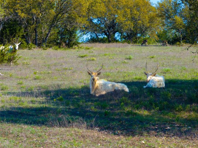 5525 FM2340 RD, Burnet, TX 78611