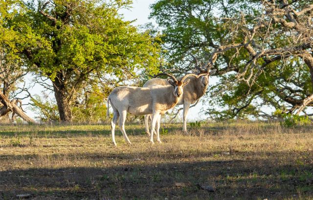 5525 FM2340 RD, Burnet, TX 78611