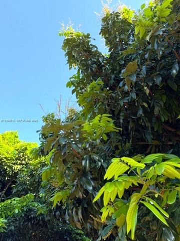 25201 SW 198th Ave, Homestead, FL 33031