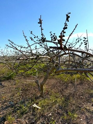 25201 SW 198th Ave, Homestead, FL 33031