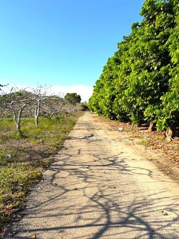 25201 SW 198th Ave, Homestead, FL 33031