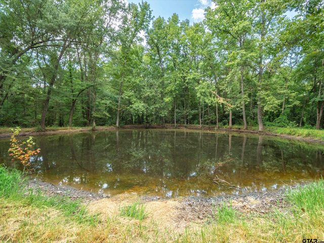 147 CR 4230, Winnsboro, TX 75494