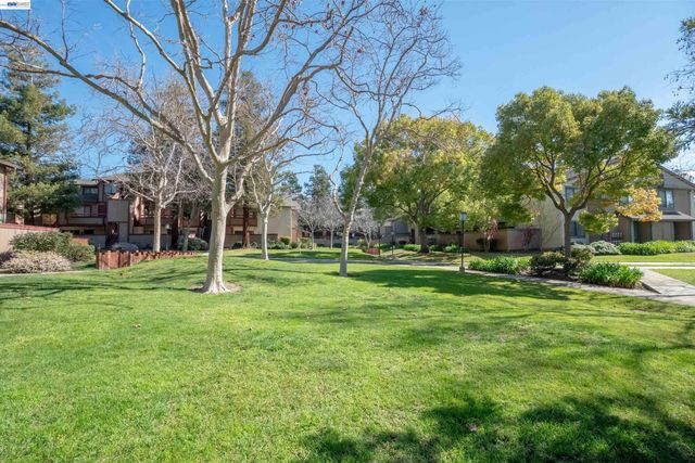277 Hackamore Cmn, Fremont, CA 94539