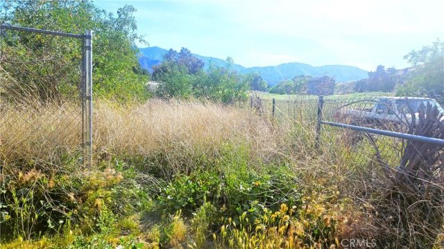 14 Crown V14 Rd Vic Arrastr, Acton, CA 93510