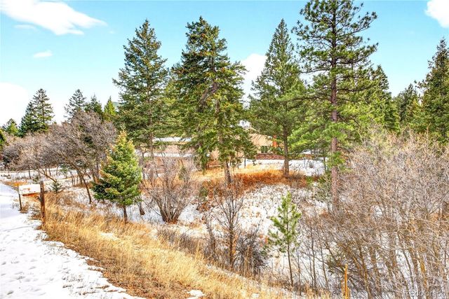 6570 S Pike Drive, Larkspur, CO 80118