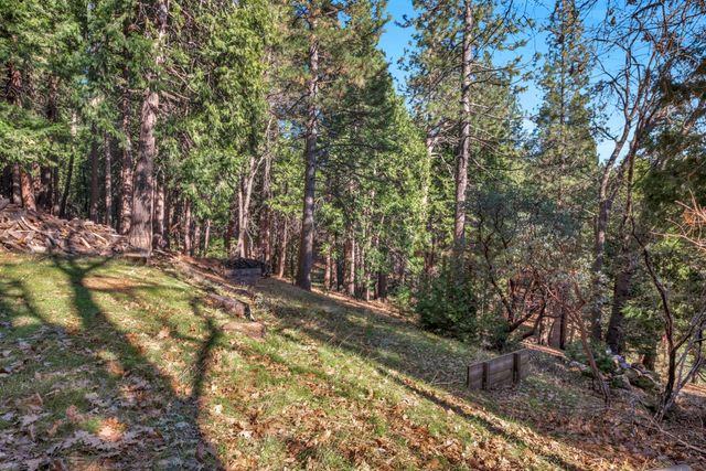 6770 Diamond Dr, Pollock Pines, CA 95726