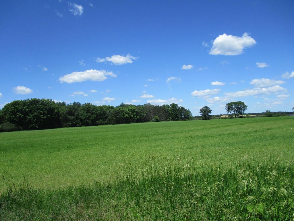 6822 Oneka Lake Blvd N, Hugo, MN 55038 — photo 2