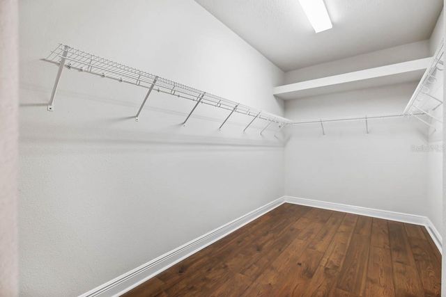 13891 KINGFISHER GLEN DRIVE, Lithia, FL 33547