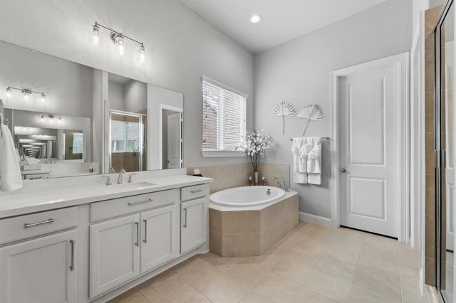 117 Sanderling Lane, Montgomery, TX 77316