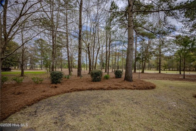 107 Red Sunset Court, Wallace, NC 28466