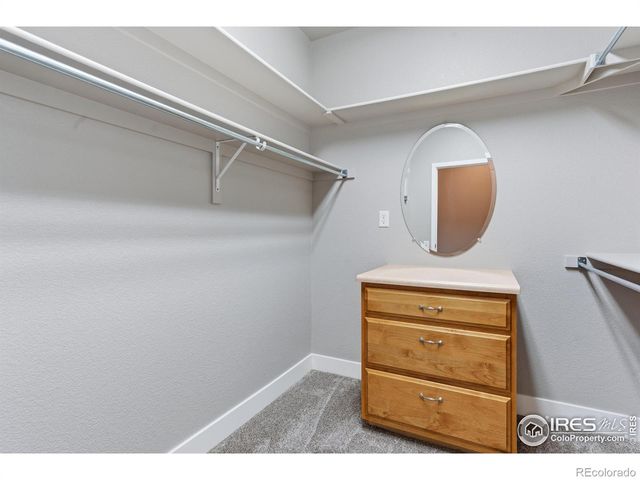 4101 Crittenton Lane 301, Wellington, CO 80549