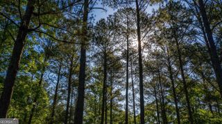 0 Morgan Mill Road LOT 5, Senoia, GA 30276