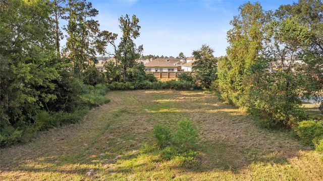 16889 Springfield Drive, Conroe, TX 77302